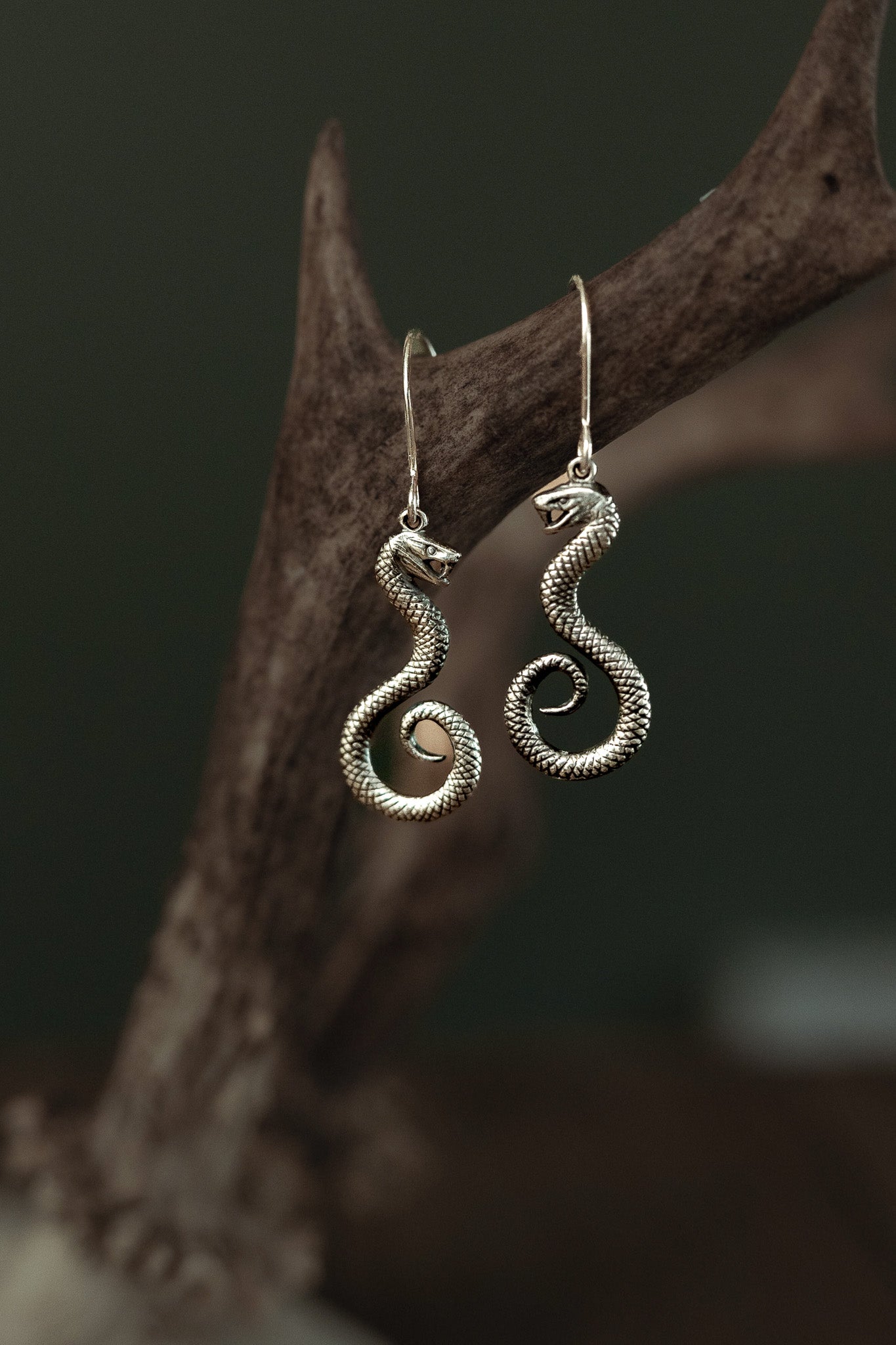 Serpents of Hecate Earrings – Guardians of the Crossroads