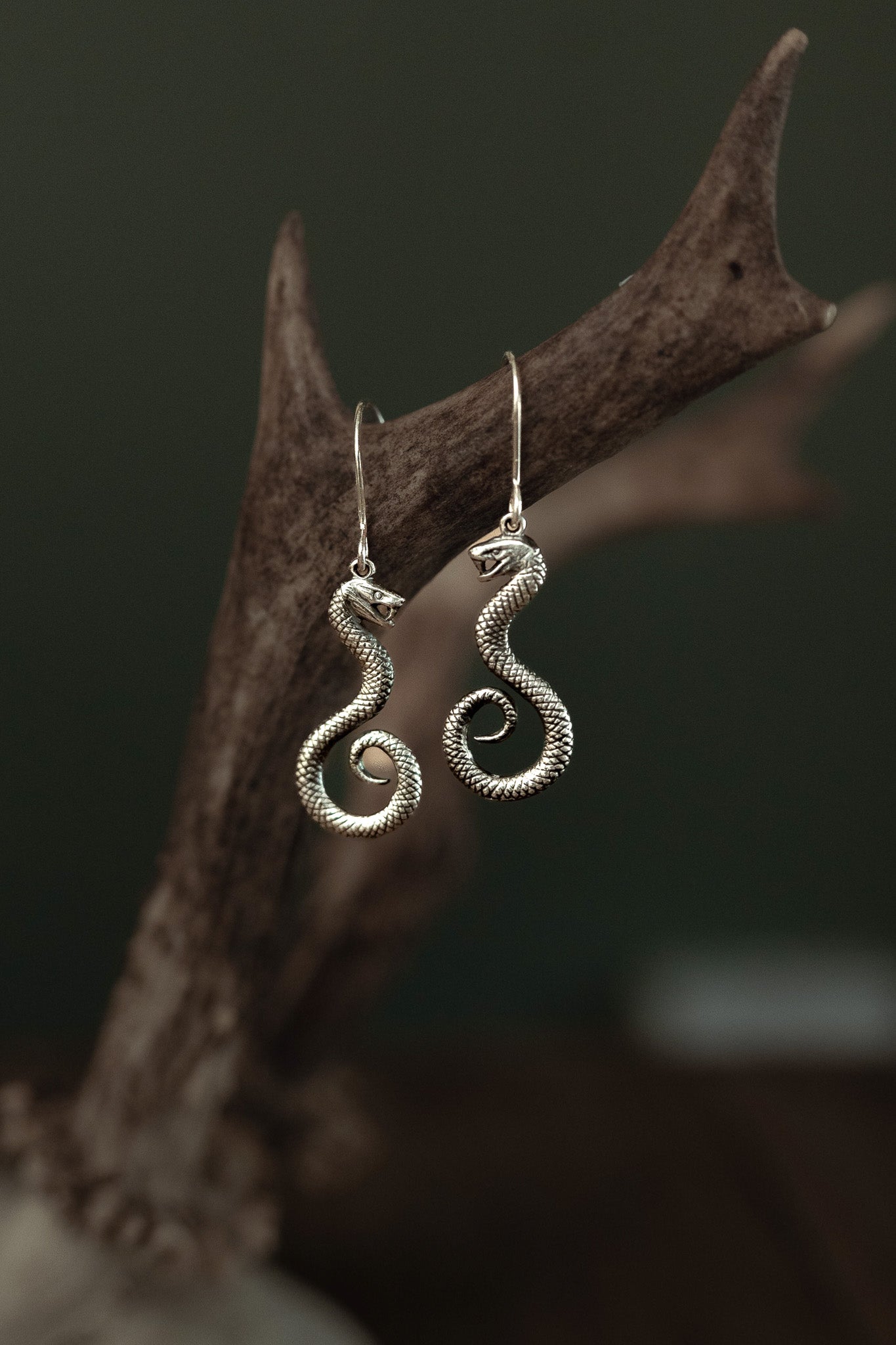 Serpents of Hecate Earrings – Guardians of the Crossroads