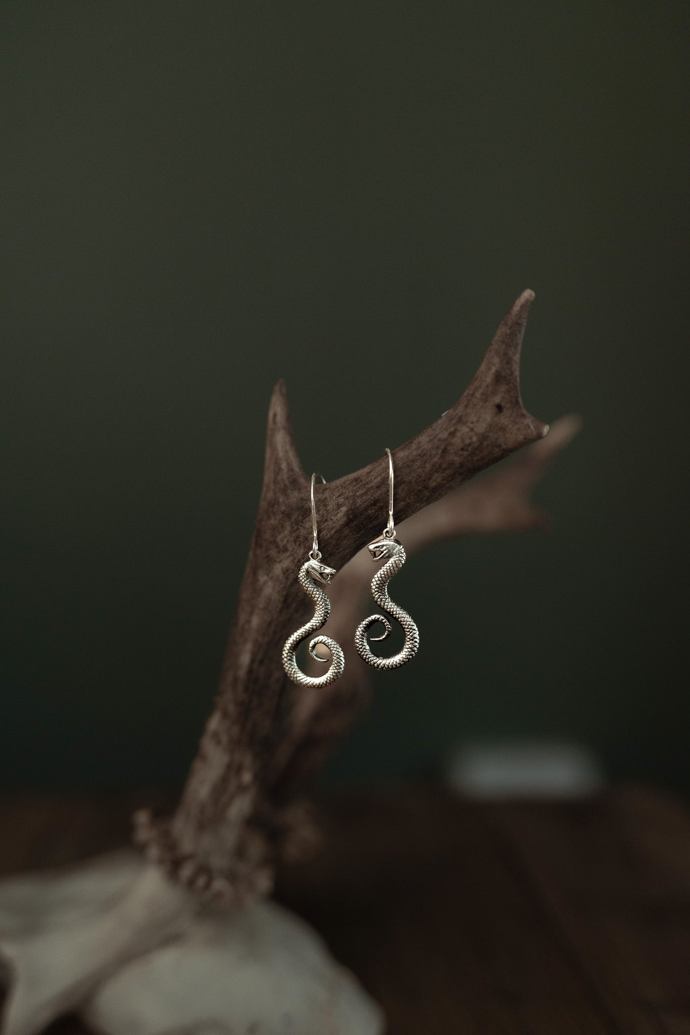 Serpents of Hecate Earrings – Guardians of the Crossroads