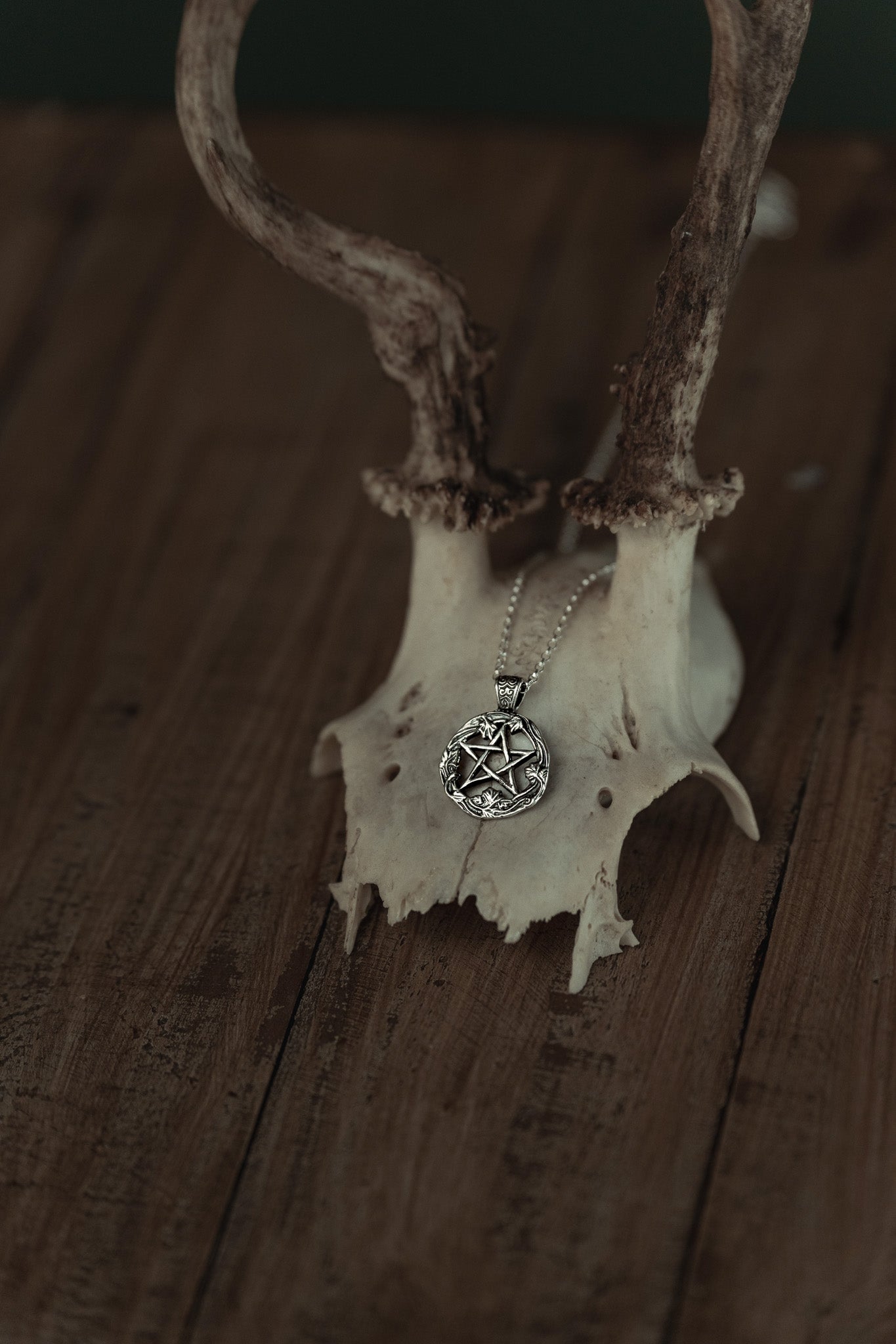 Enchanted Vine Pentacle Pendant – Rooted in Magic