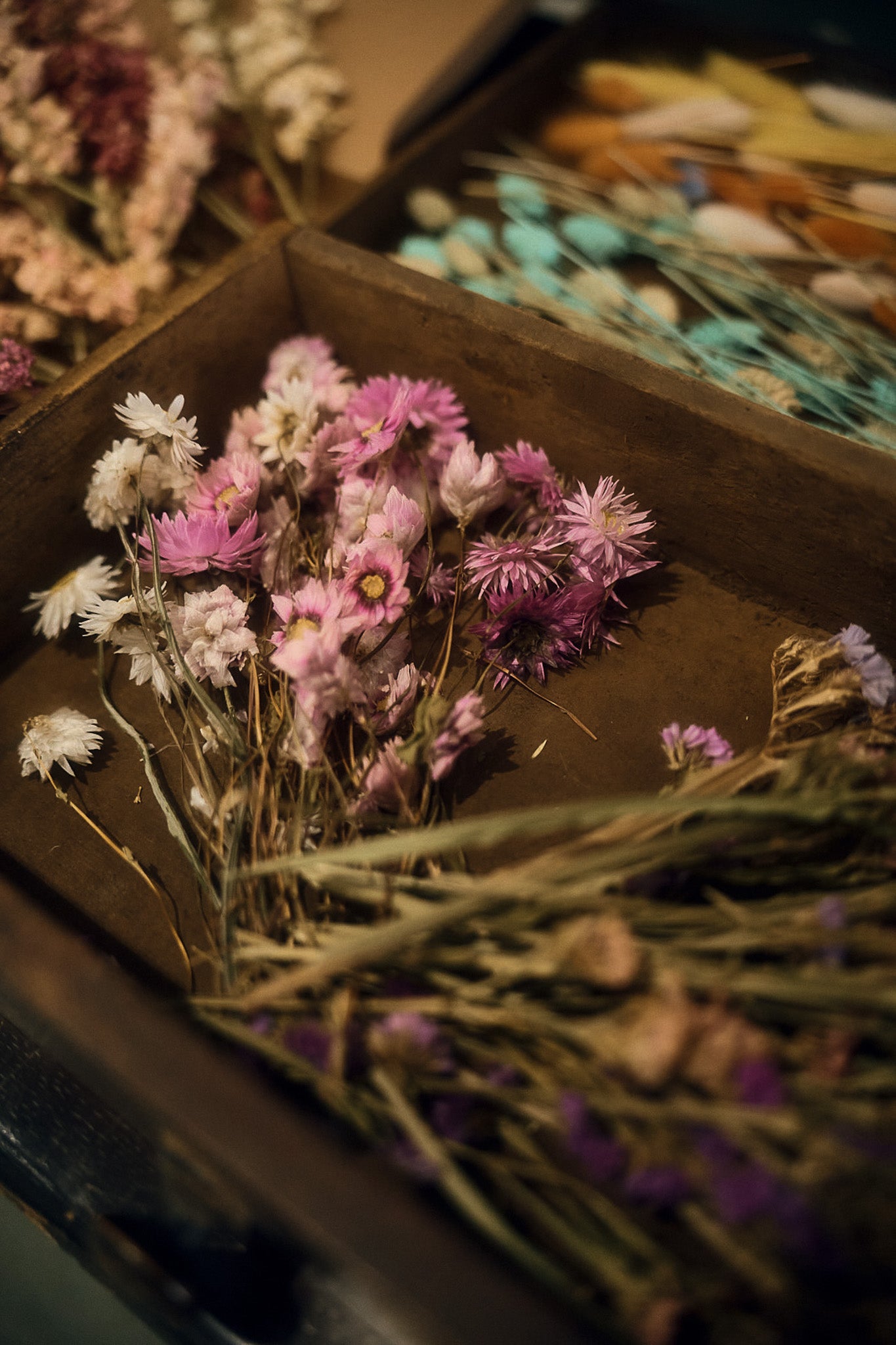 Midsummer 'Clan Gathering' Retreat 19th - 22nd June 2025