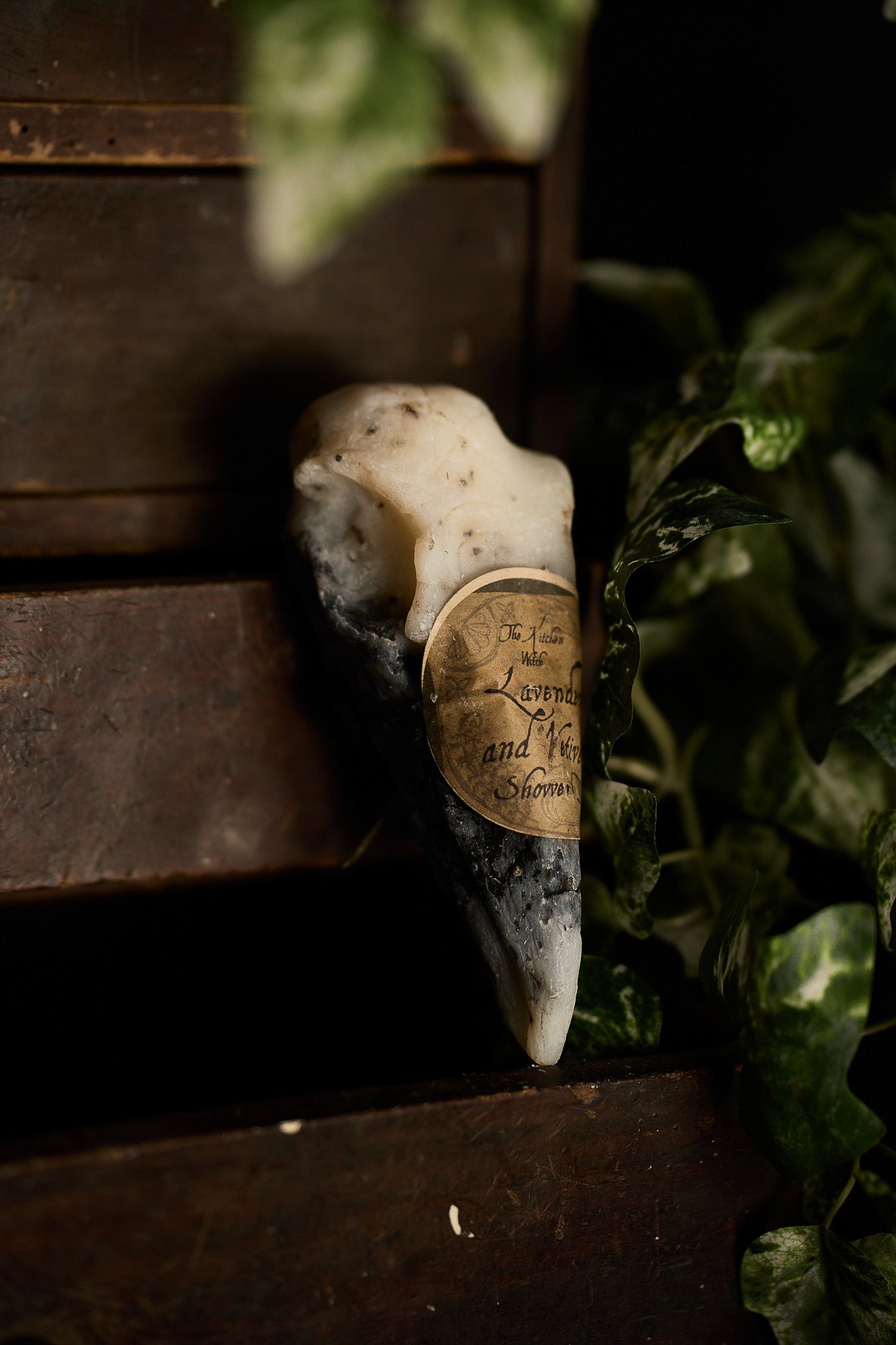 Crow Skull Shower Bar – Ritual Cleansing for the Wild Soul