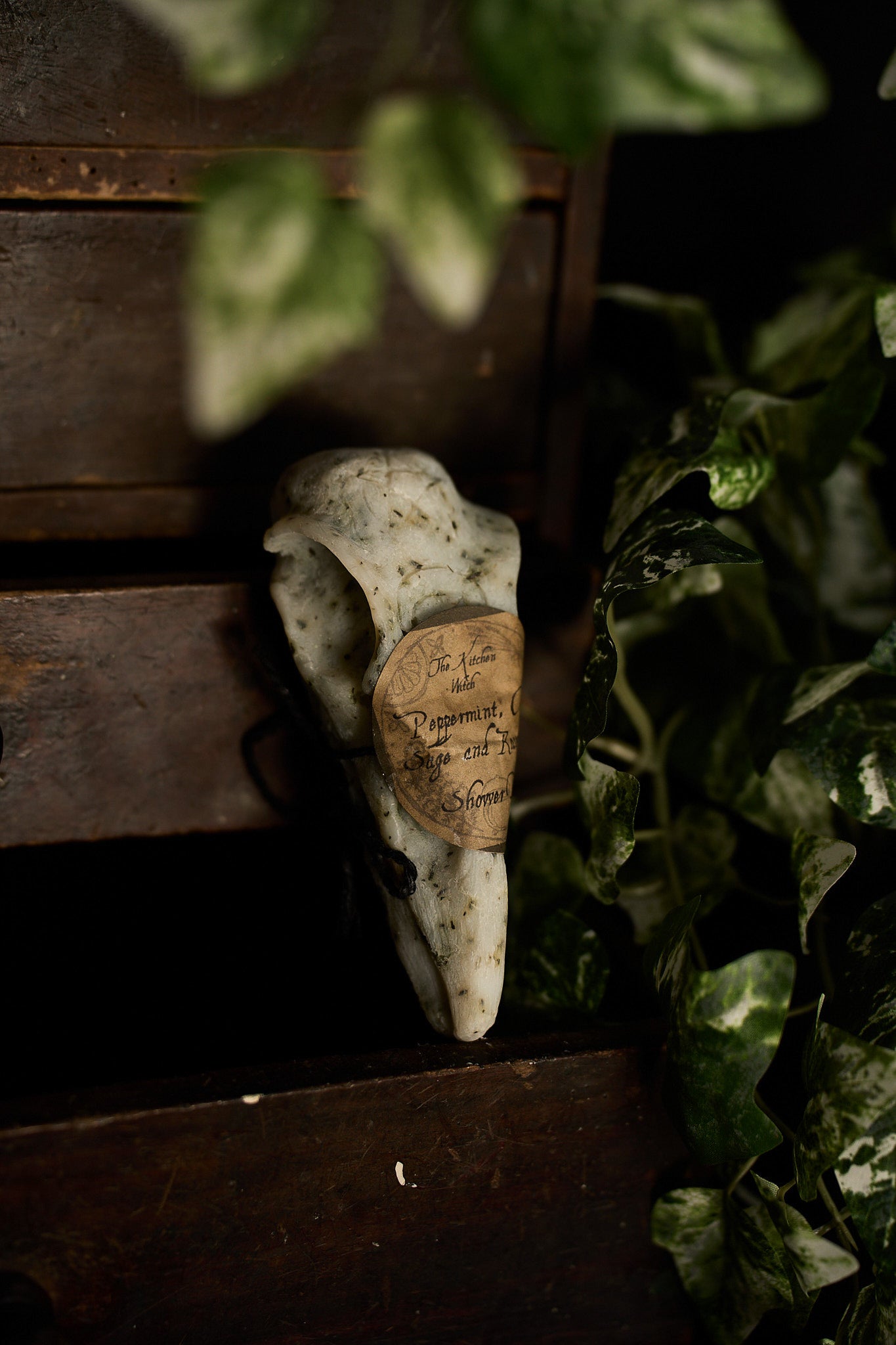 Crow Skull Shower Bar – Ritual Cleansing for the Wild Soul