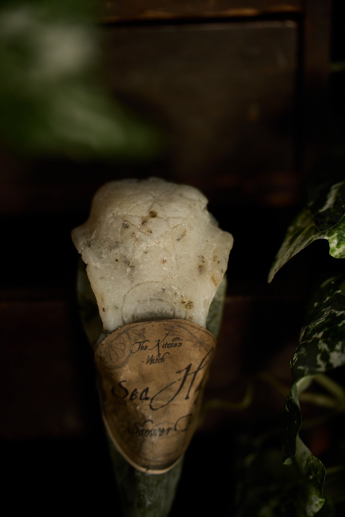 Crow Skull Shower Bar – Ritual Cleansing for the Wild Soul