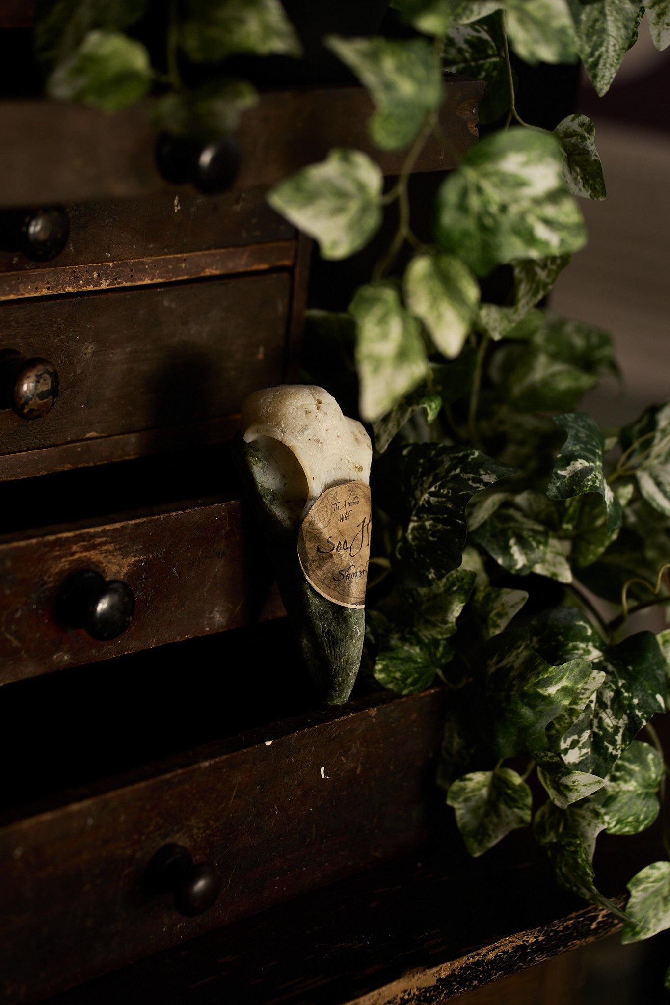 Crow Skull Shower Bar – Ritual Cleansing for the Wild Soul