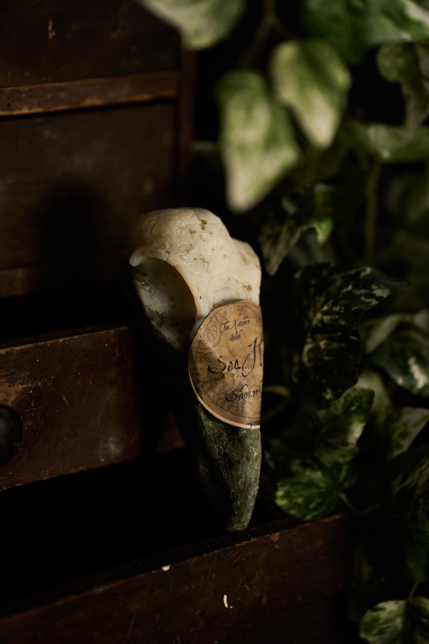 Crow Skull Shower Bar – Ritual Cleansing for the Wild Soul