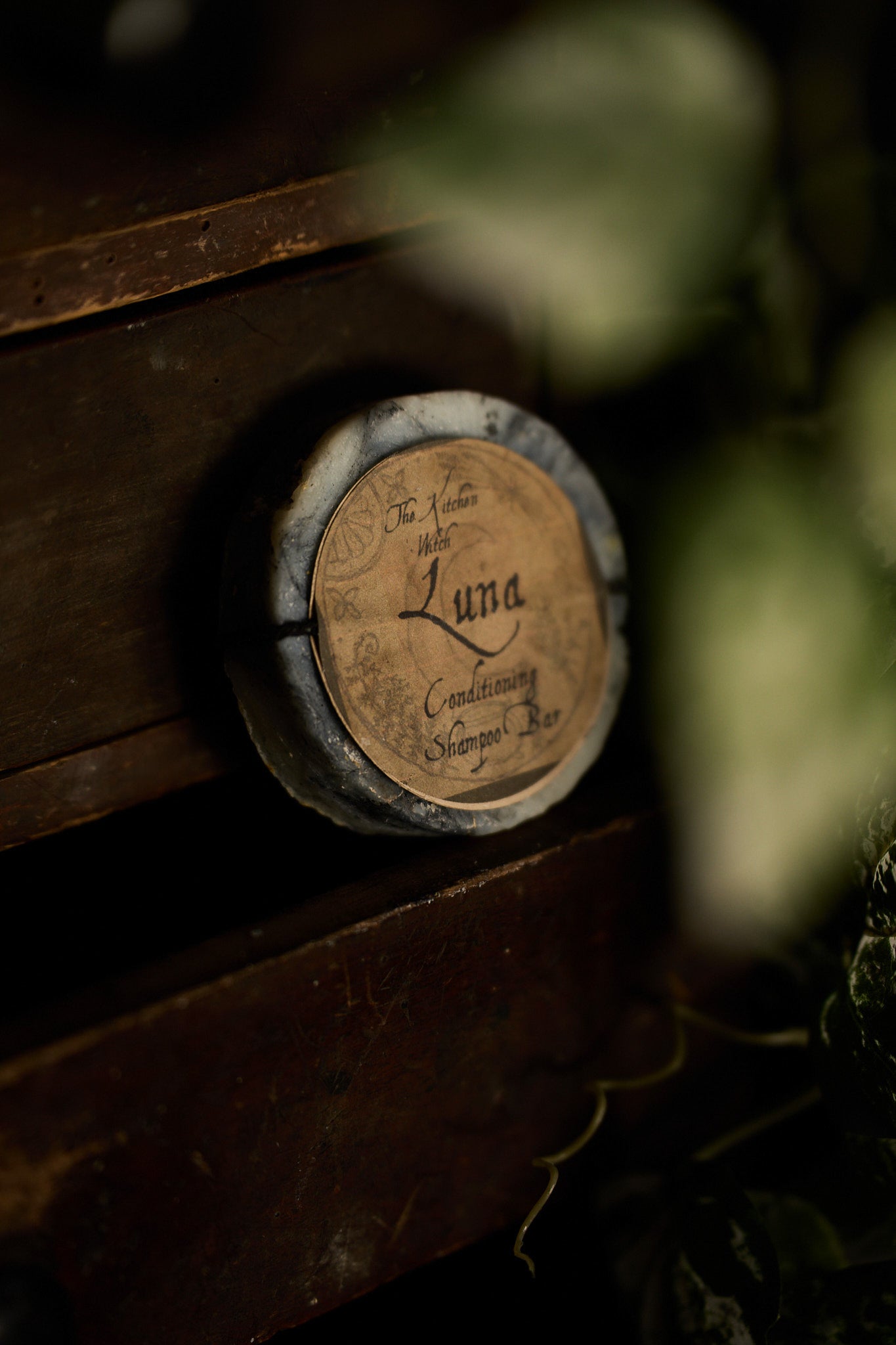 Conditioning Shampoo Bars – Ritual Hair Care with Botanical Soul