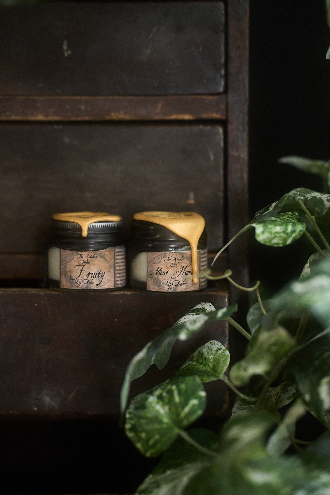 Vegan Lip Balm Tin – Nourish, Soothe & Protect