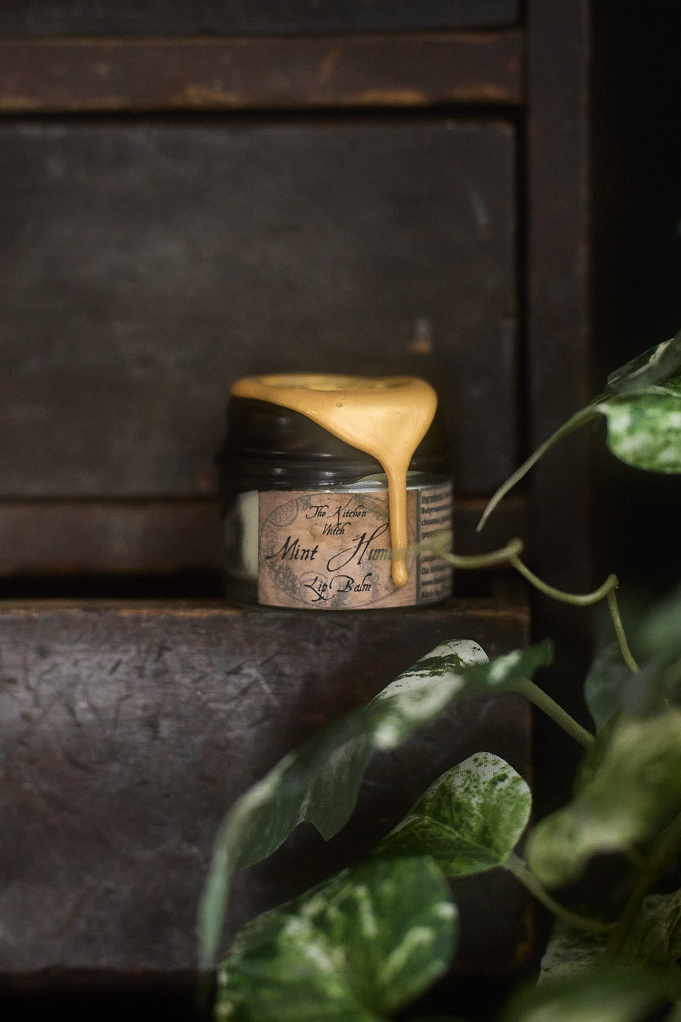 Vegan Lip Balm Tin – Nourish, Soothe & Protect