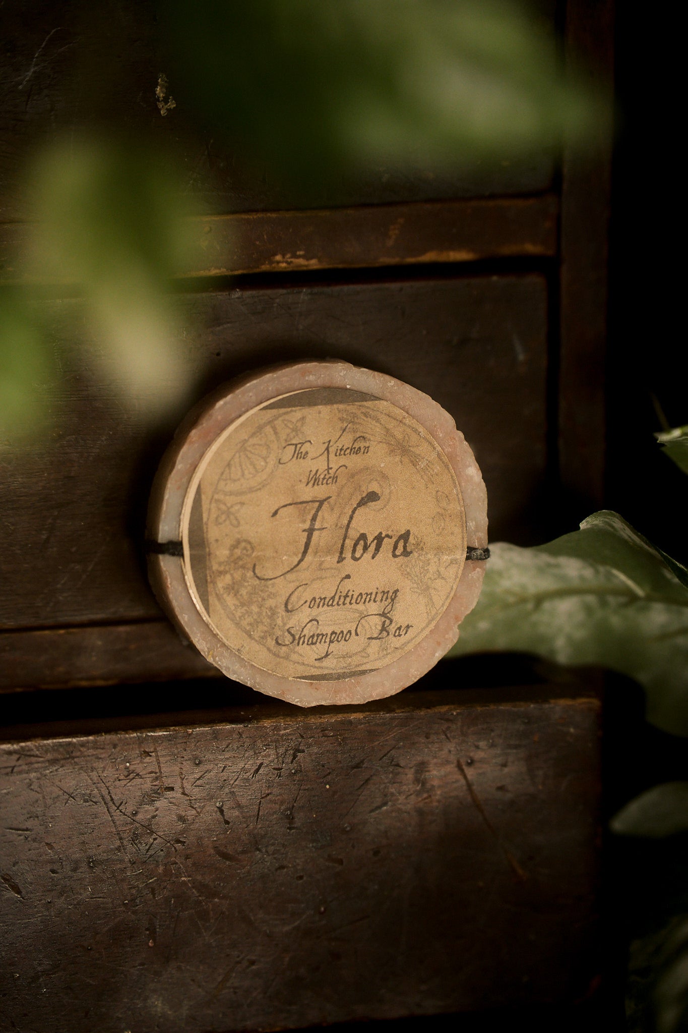 Conditioning Shampoo Bars – Ritual Hair Care with Botanical Soul
