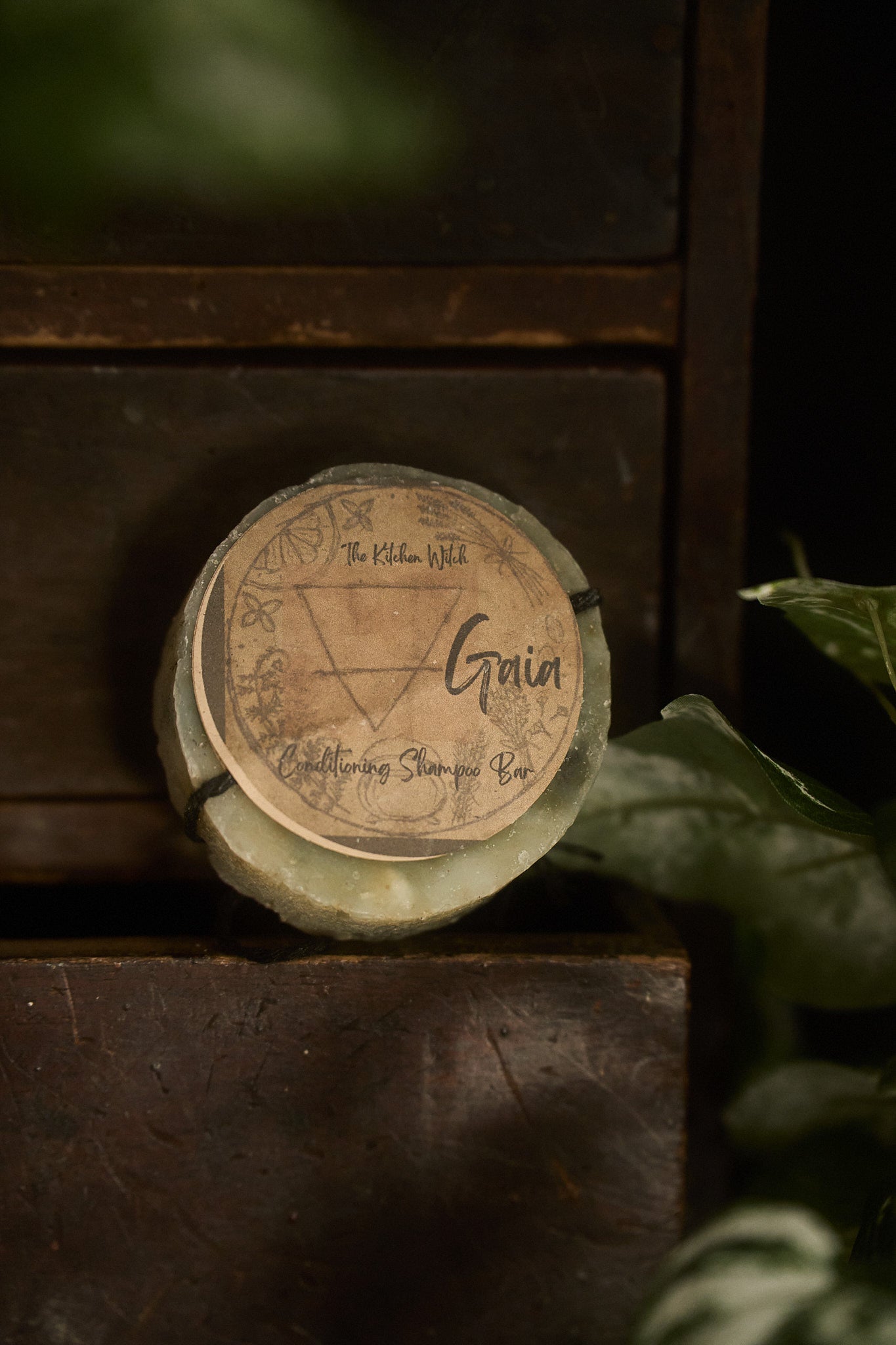 Conditioning Shampoo Bars – Ritual Hair Care with Botanical Soul