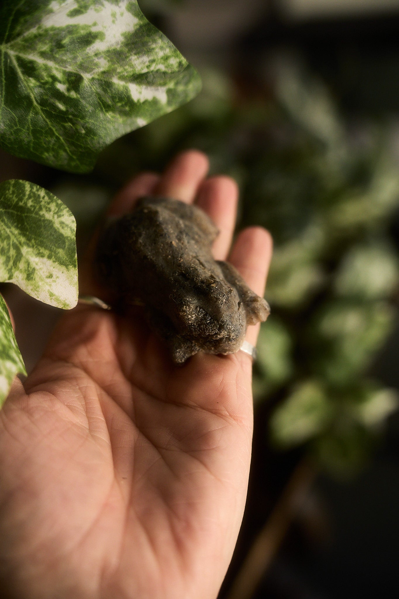 Frog Shower Bar Samples – Uplifting Rituals in Miniature Form