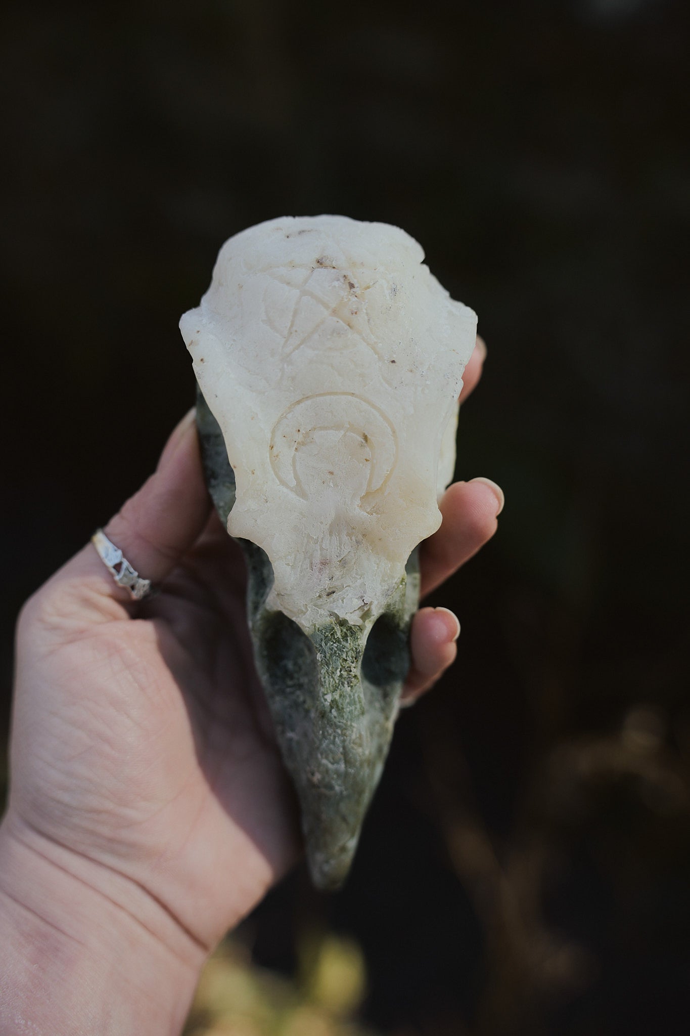 Crow Skull Shower Bar – Ritual Cleansing for the Wild Soul