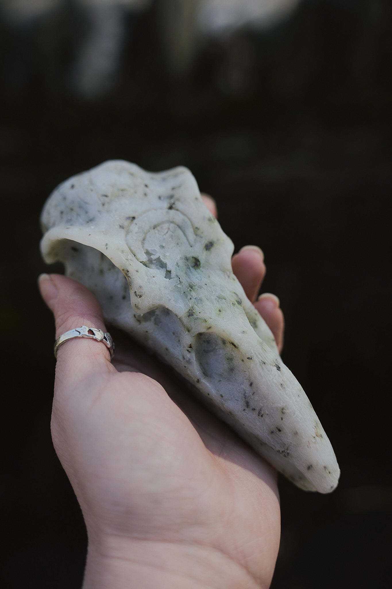 Crow Skull Shower Bar – Ritual Cleansing for the Wild Soul