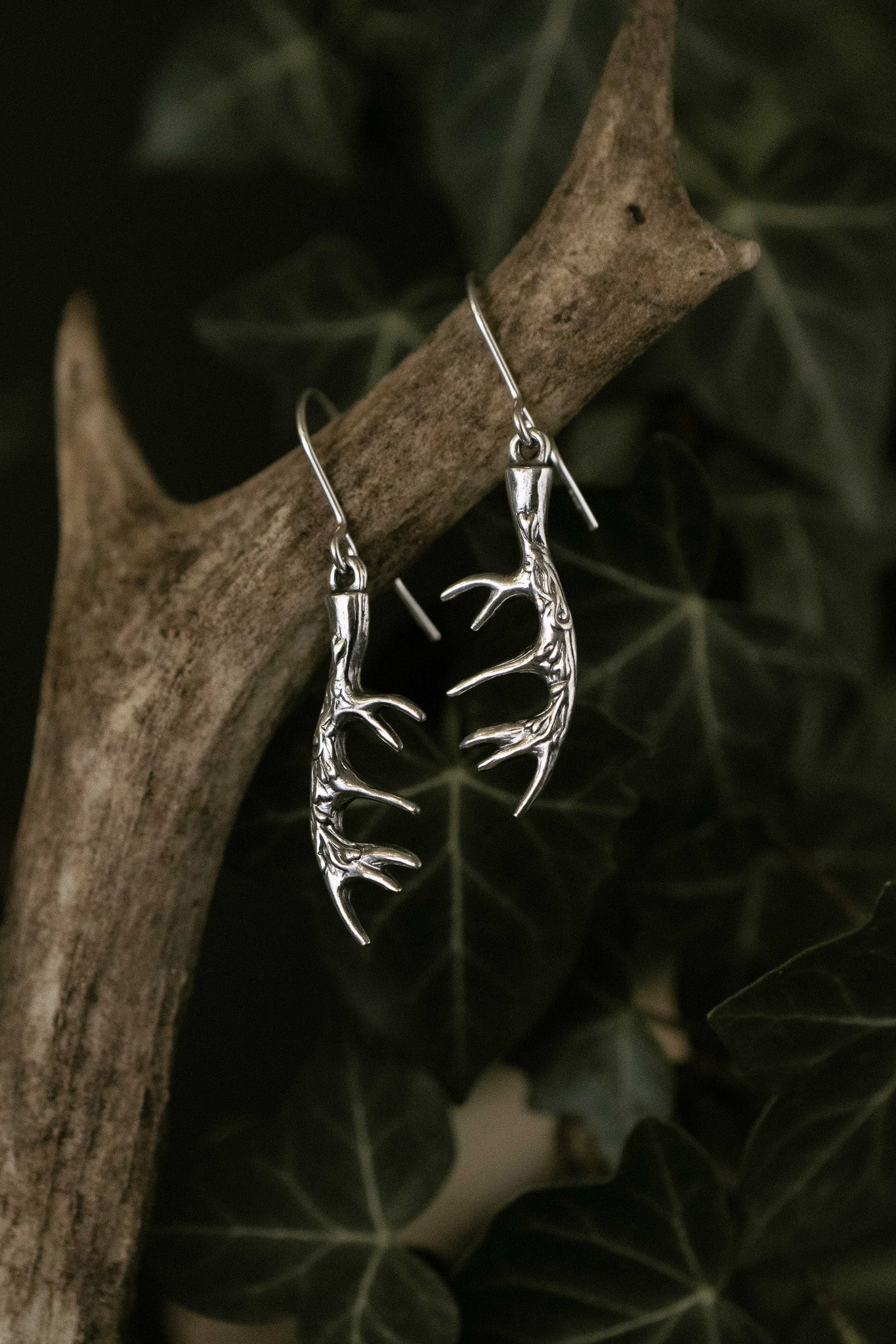 Deer Antler Earrings