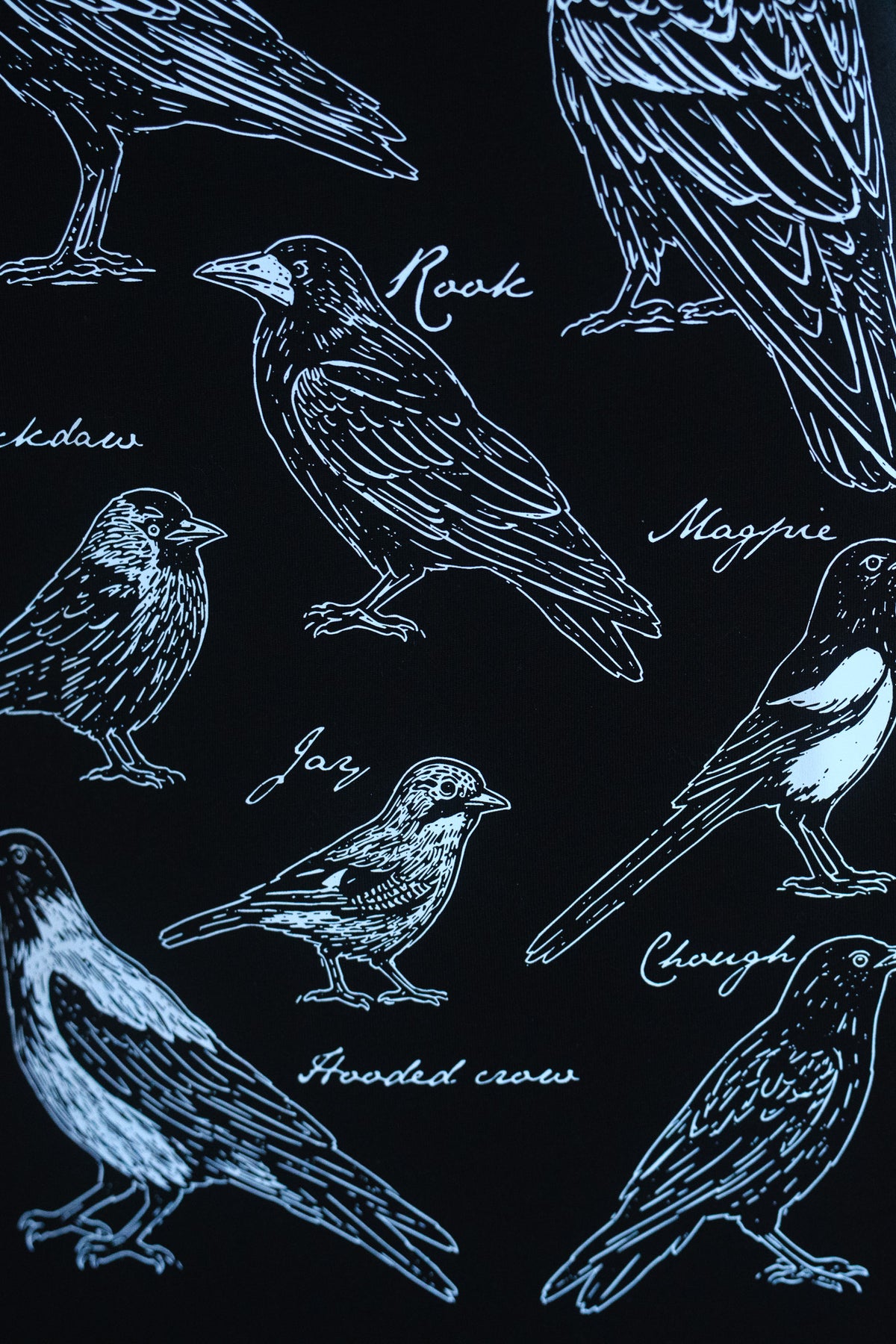 A close-up of a black fabric featuring a  white illustration of various covid species labeled with handwritten names such as 'Rook', 'Magpie', 'Jay', and 'Cough'.