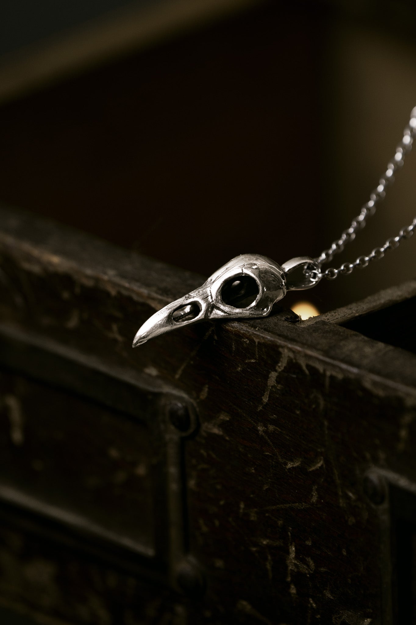 Raven Skull Silver Pendant Necklace