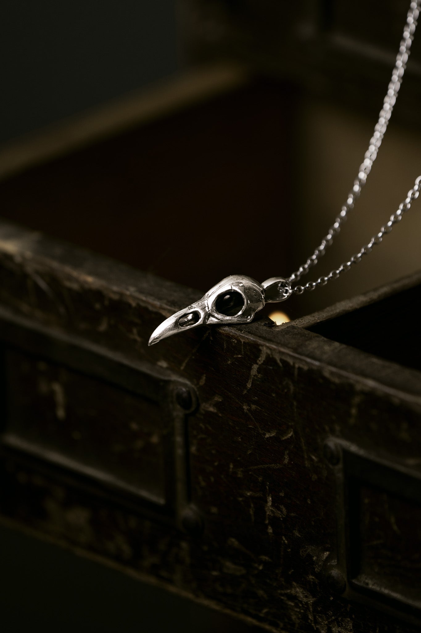 Raven Skull Silver Pendant Necklace