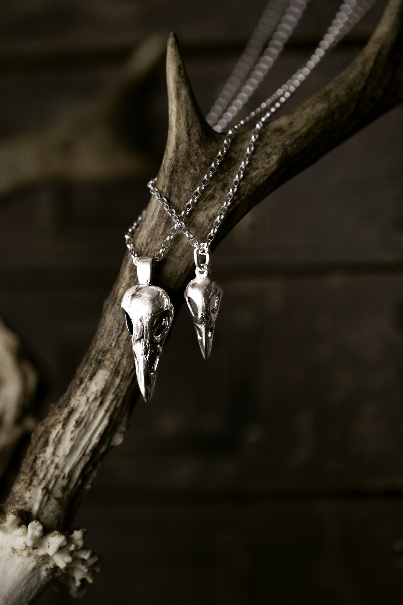 Raven Skull Charm Only or Charm Necklace