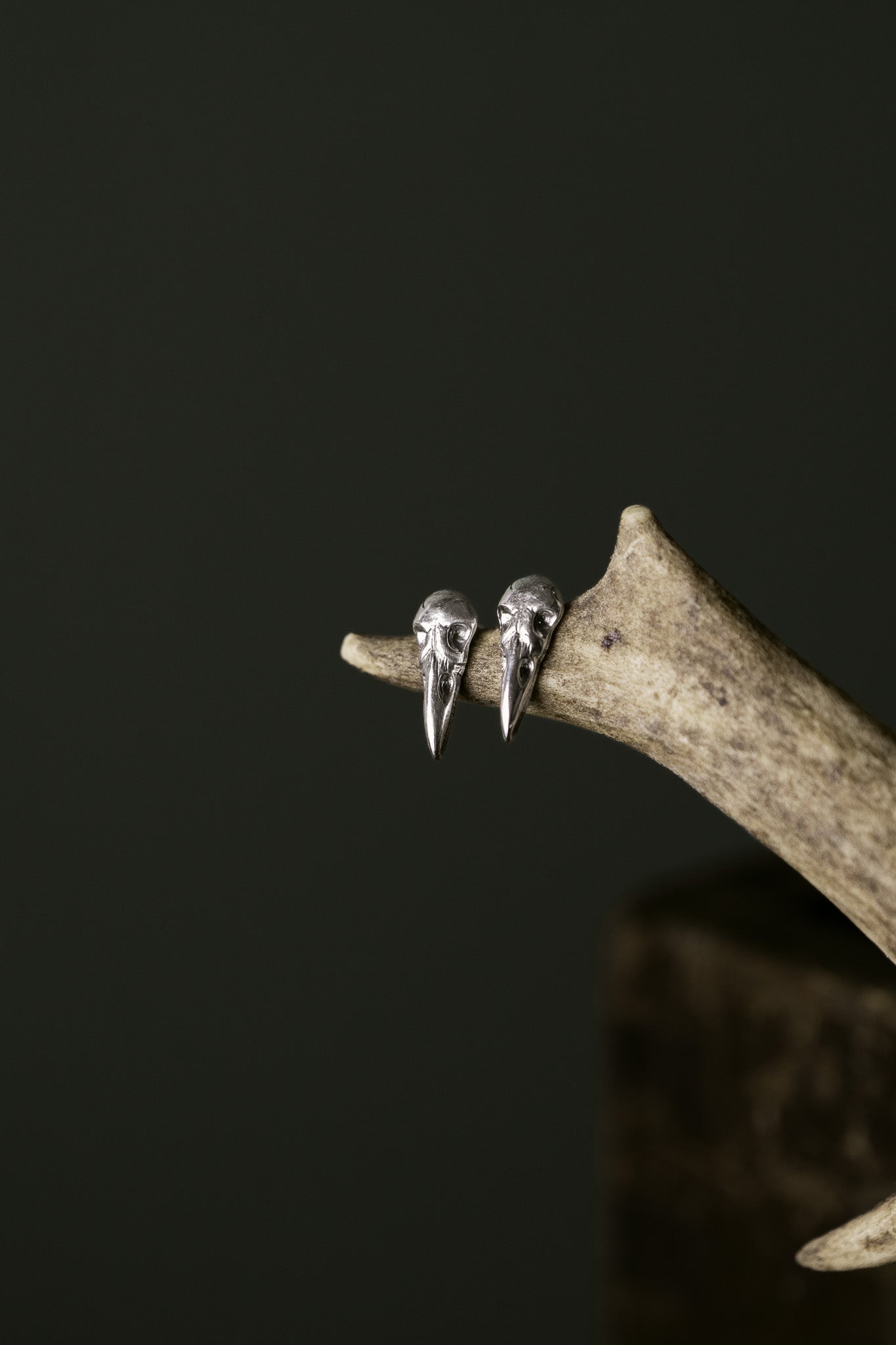 Raven Skull Stud Earrings