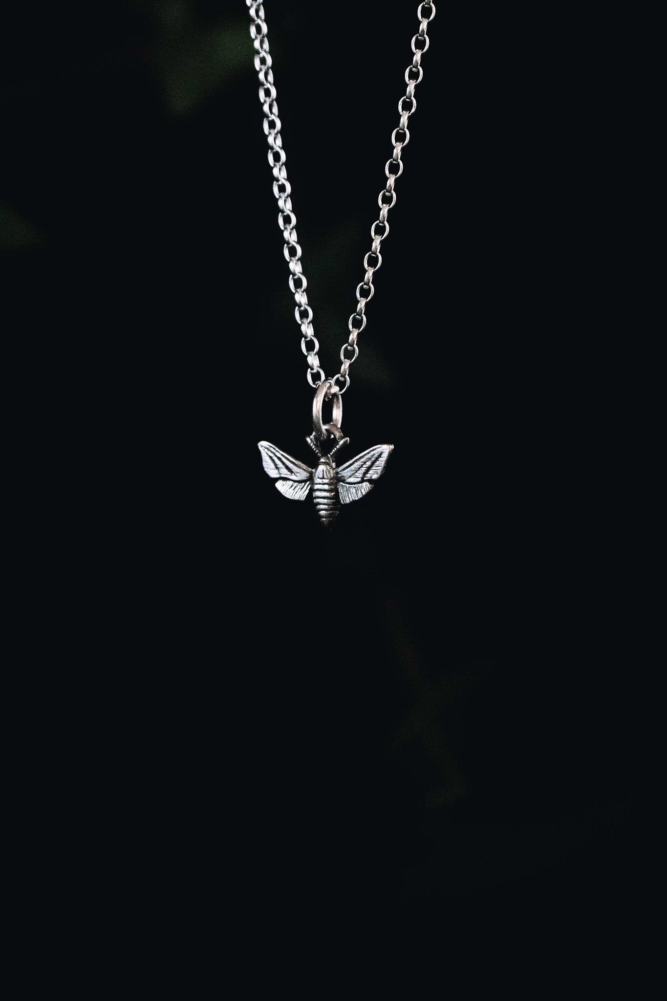 Hawk Moth Charm or Charm Necklace