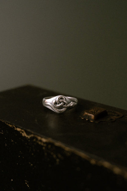 'Corra' Sterling Silver Celtic Serpent Ring