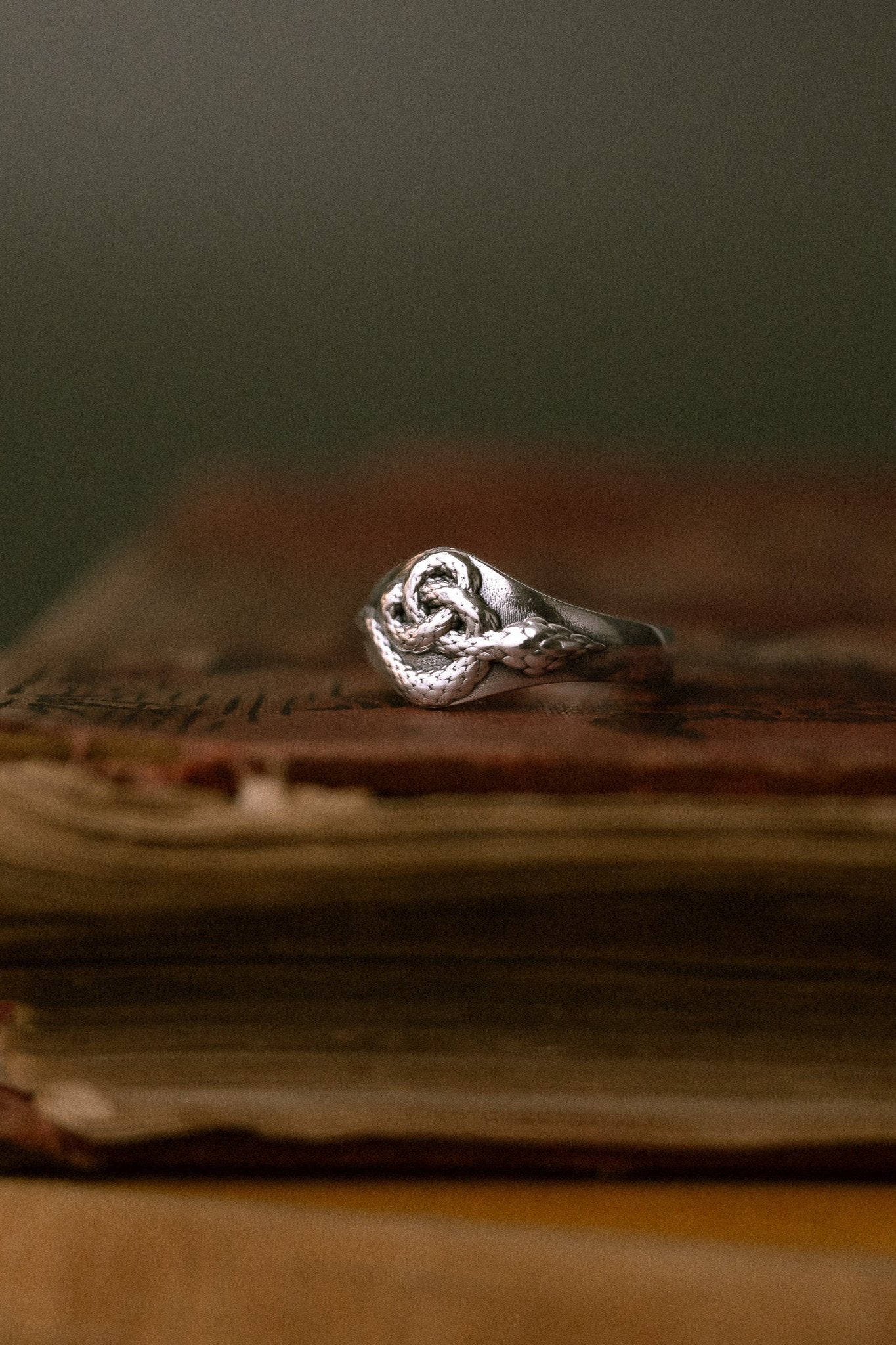 'Corra' Sterling Silver Celtic Serpent Ring