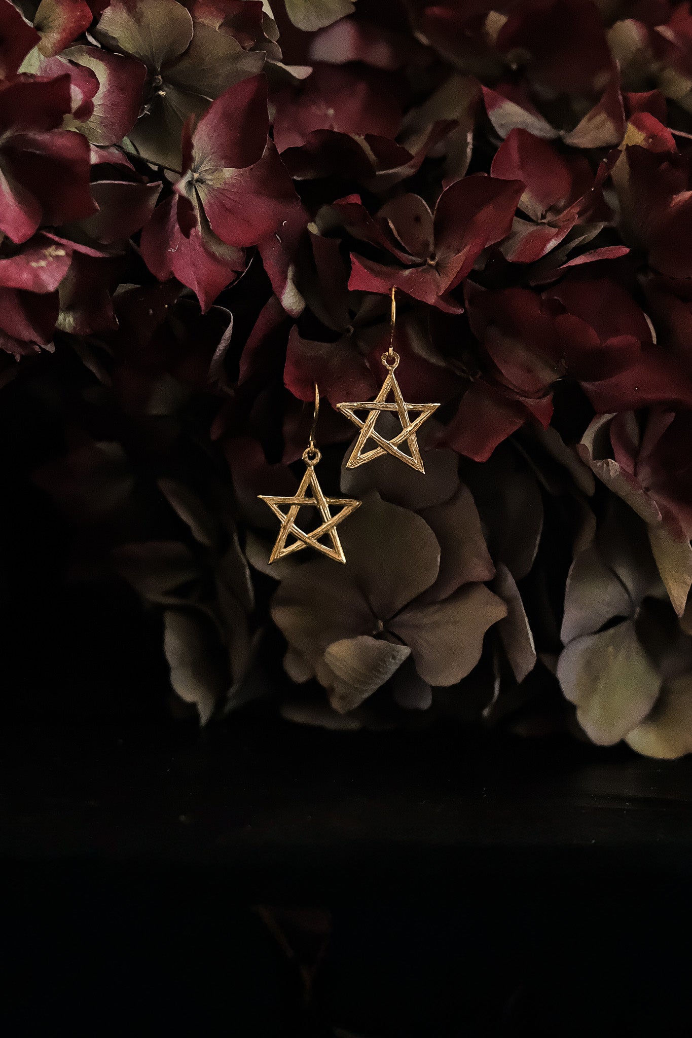 Gold Wildwood Pentagram Dangle Earrings