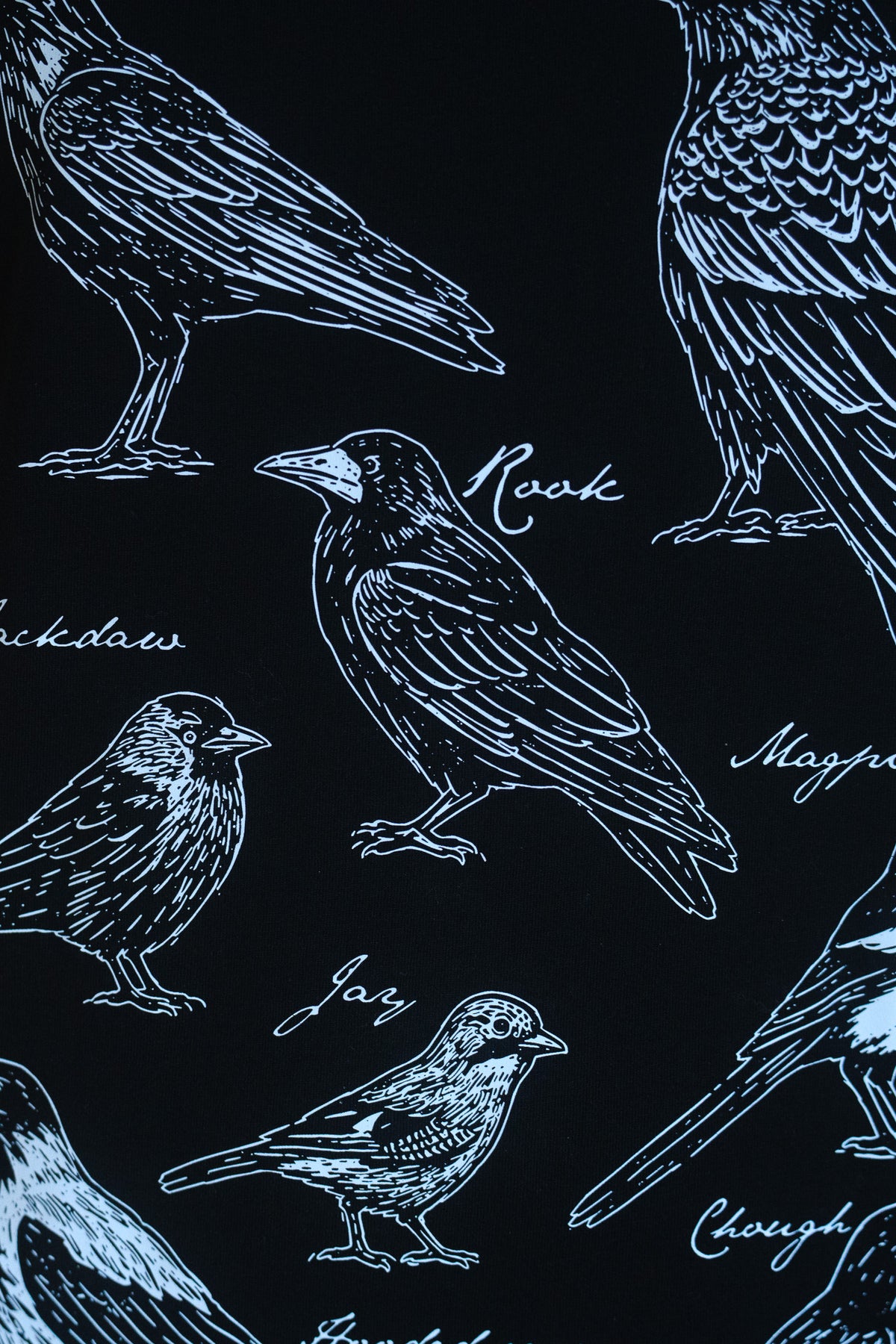Black fabric featuring a white line-art pattern of various birds, including raven, crow, magpie, jay, and chickadee names written in script.